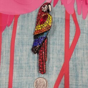 Colorful Parrot Bird Brooch